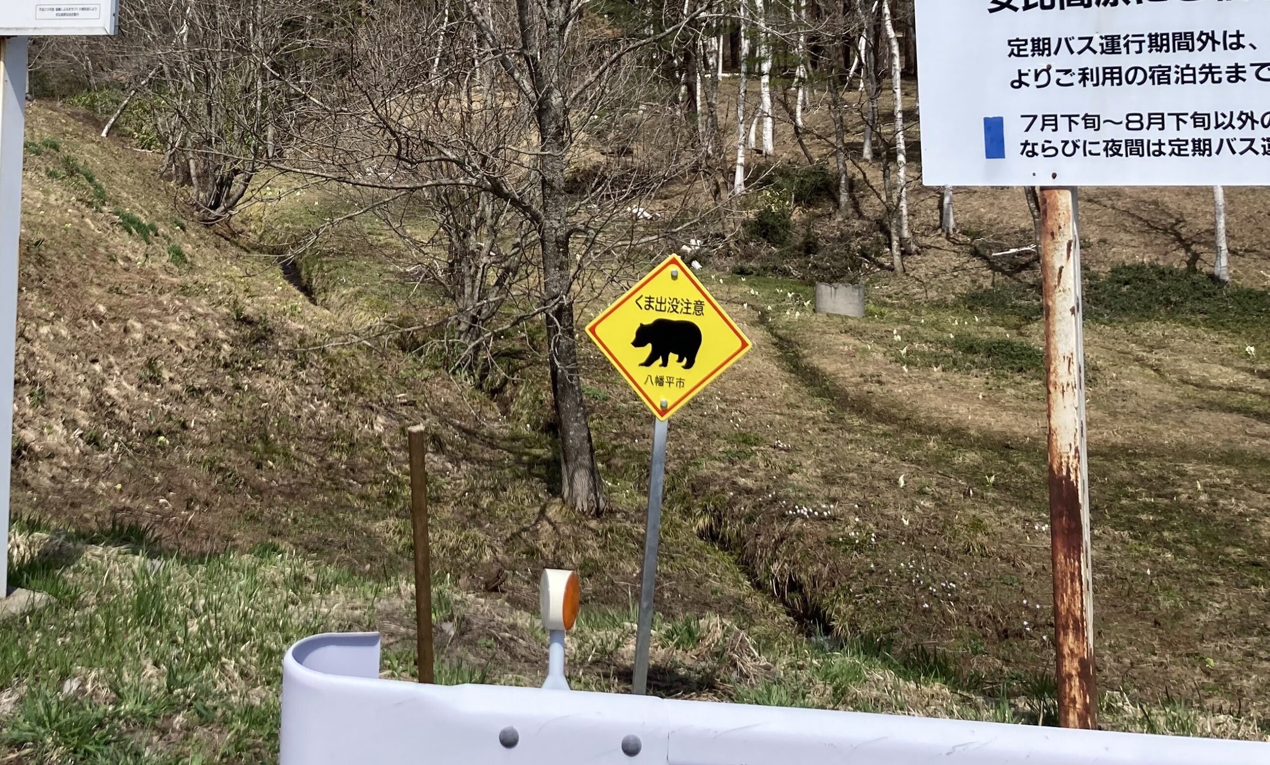 安比高原のクマ看板