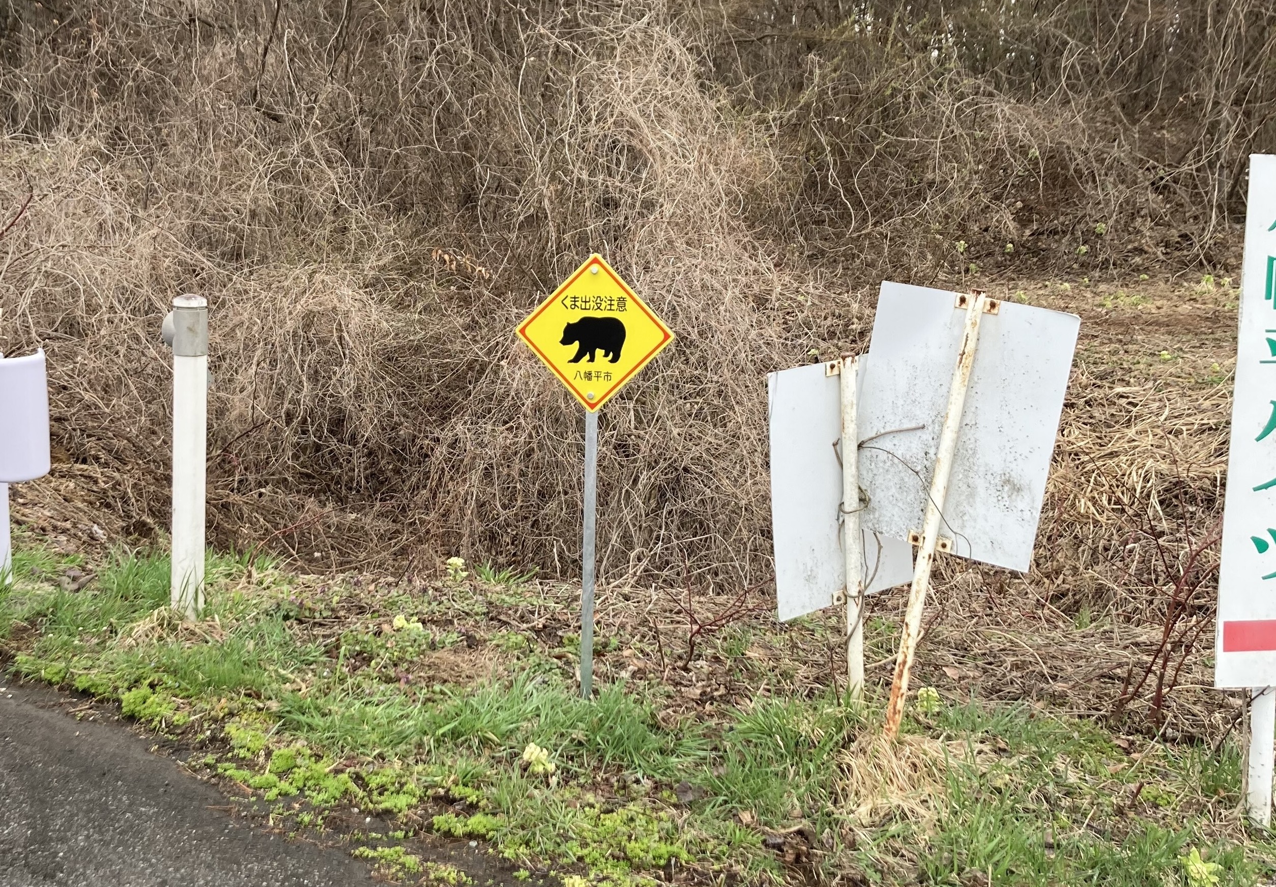 焼走り線のクマ看板