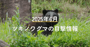 6月のツキノワグマ報告件数のレポート表紙