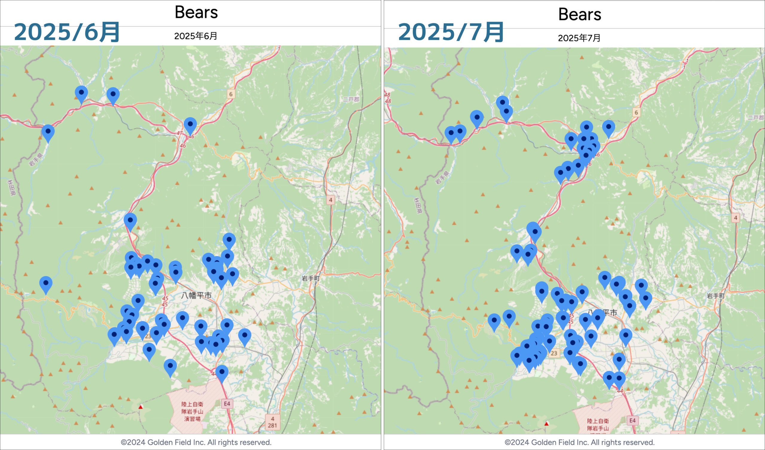2025年6月bears