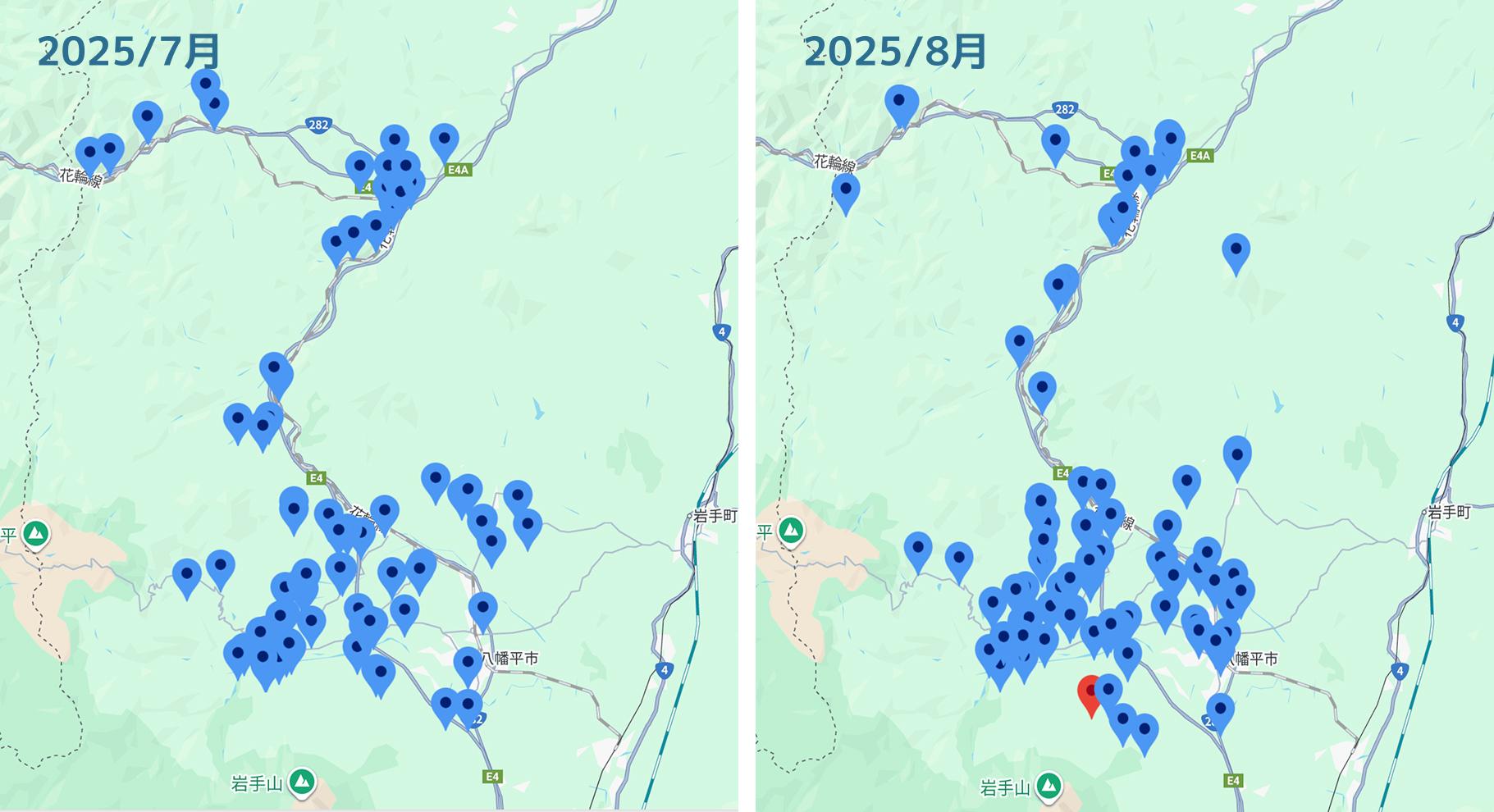 2025年7月8月bears